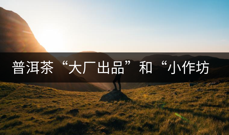 普洱茶“大廠出品”和“小作坊”，哪一個更值得購買？
