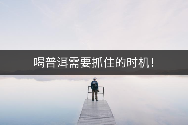 喝普洱需要抓住的時機！