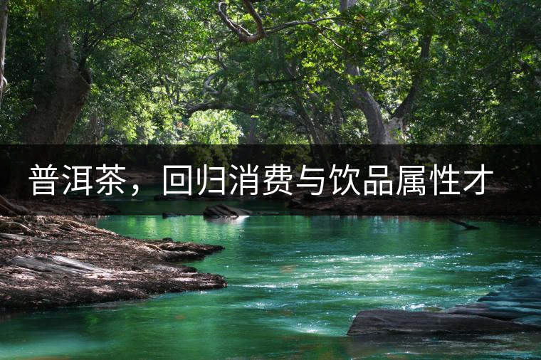 普洱茶，回歸消費與飲品屬性才是正途