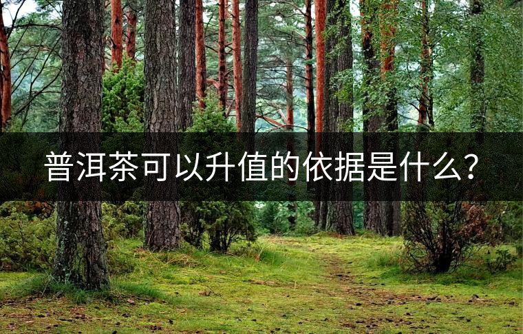 普洱茶可以升值的依據是什么？