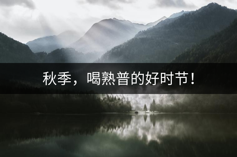 秋季，喝熟普的好時節(jié)！