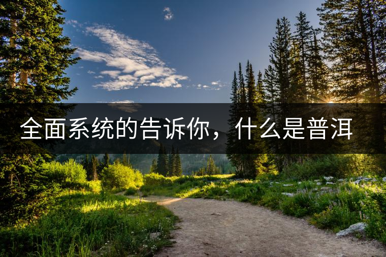 全面系統(tǒng)的告訴你，什么是普洱茶