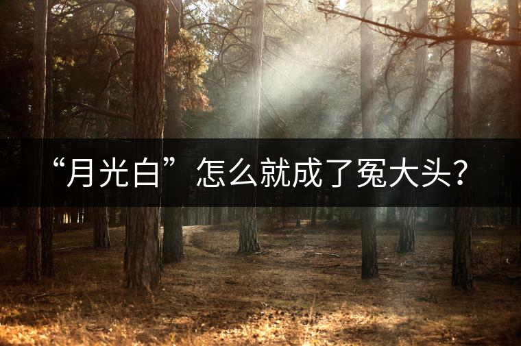 “月光白”怎么就成了冤大頭？