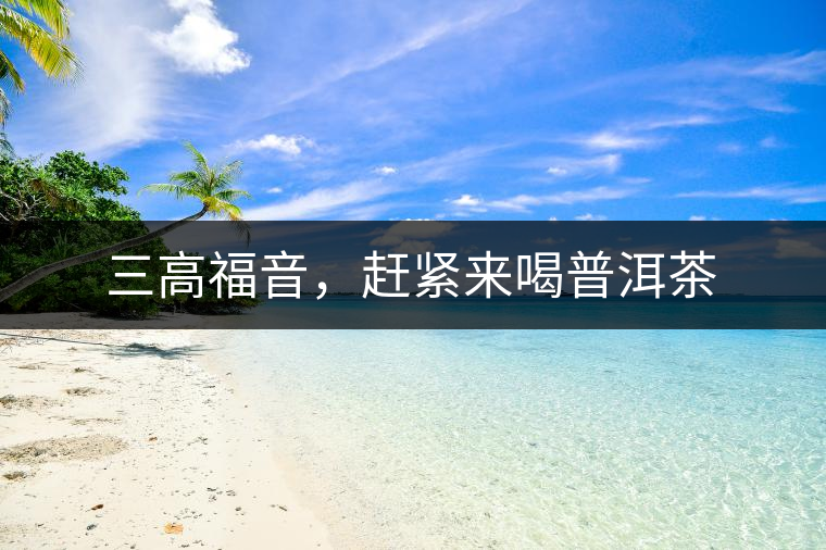 三高福音，趕緊來(lái)喝普洱茶