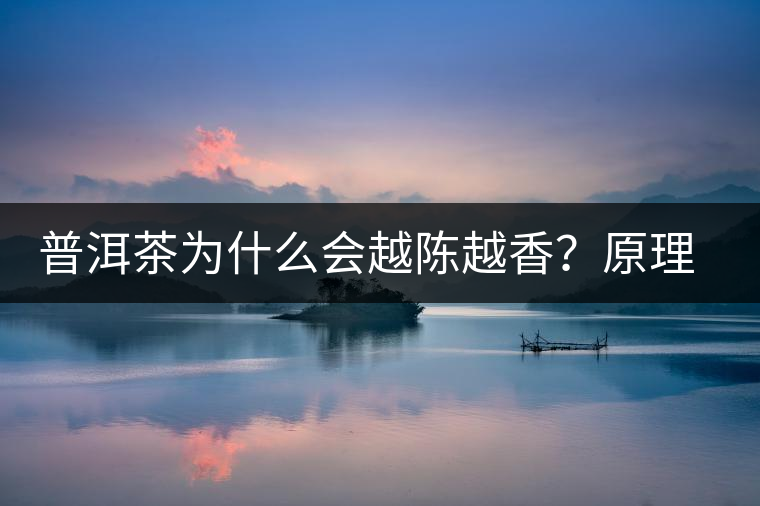 普洱茶為什么會越陳越香？原理是什么？