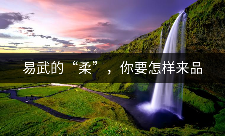 易武的“柔”，你要怎樣來品