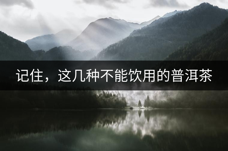 記住，這幾種不能飲用的普洱茶