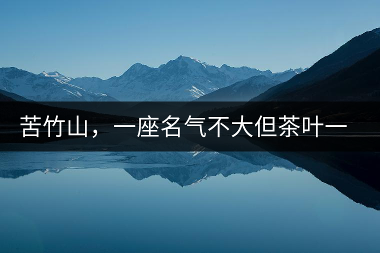 苦竹山，一座名氣不大但茶葉一流的古茶山