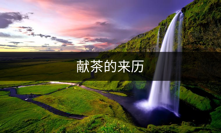 獻(xiàn)茶的來(lái)歷 獻(xiàn)茶的來(lái)歷