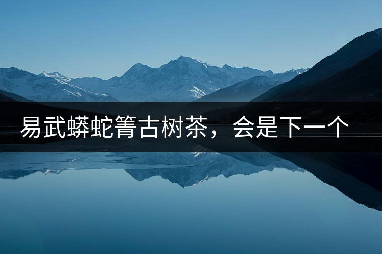 易武蟒蛇箐古樹(shù)茶，會(huì)是下一個(gè)銅箐河嗎？
