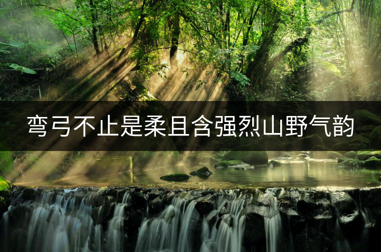 彎弓不止是柔且含強(qiáng)烈山野氣韻