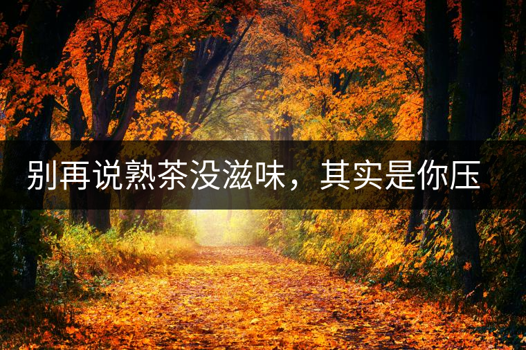 別再說熟茶沒滋味，其實是你壓根沒喝懂
