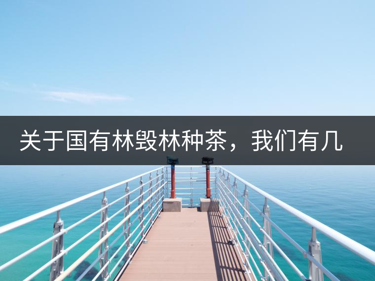 關(guān)于國(guó)有林毀林種茶，我們有幾點(diǎn)不得不說(shuō)