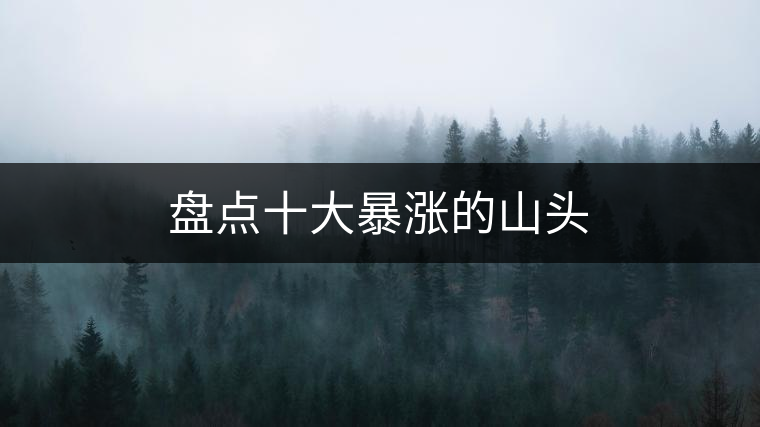 盤點十大暴漲的山頭