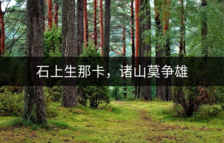 石上生那卡，諸山莫爭雄