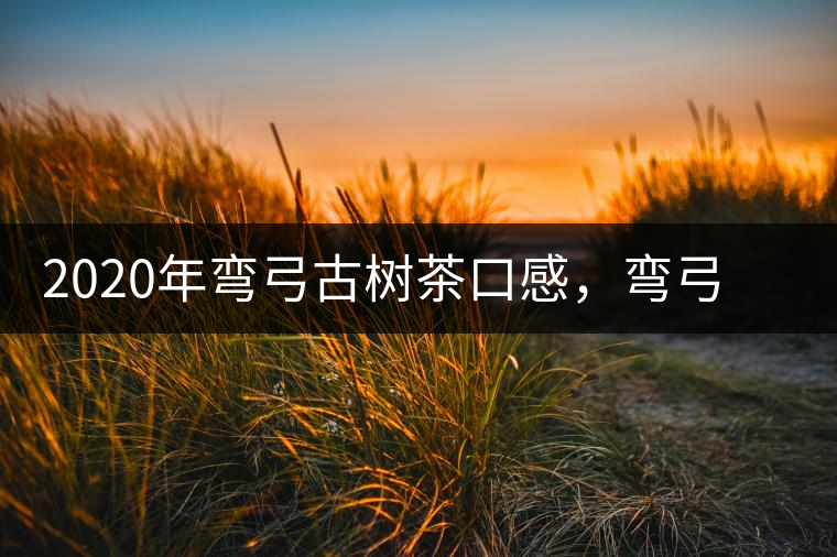 2020年彎弓古樹茶口感，彎弓普洱茶價格特點