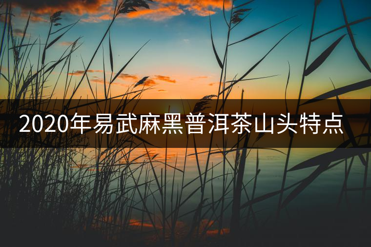 2020年易武麻黑普洱茶山頭特點介紹
