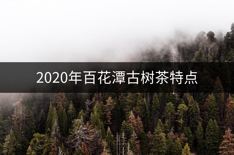 2020年百花潭古樹茶特點(diǎn)