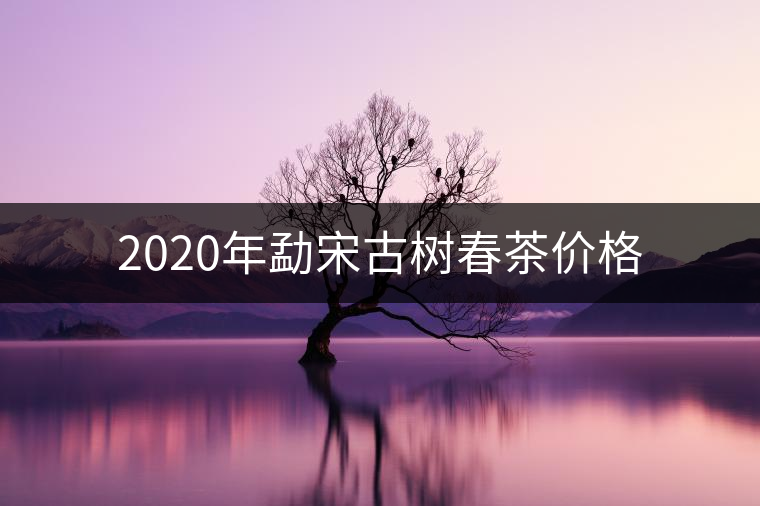 2020年勐宋古樹(shù)春茶價(jià)格