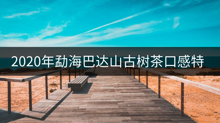 2020年勐海巴達(dá)山古樹茶口感特點