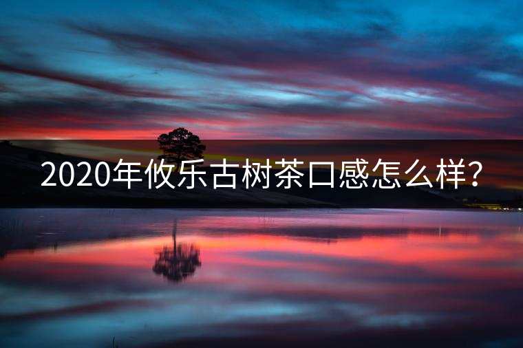 2020年攸樂古樹茶口感怎么樣？