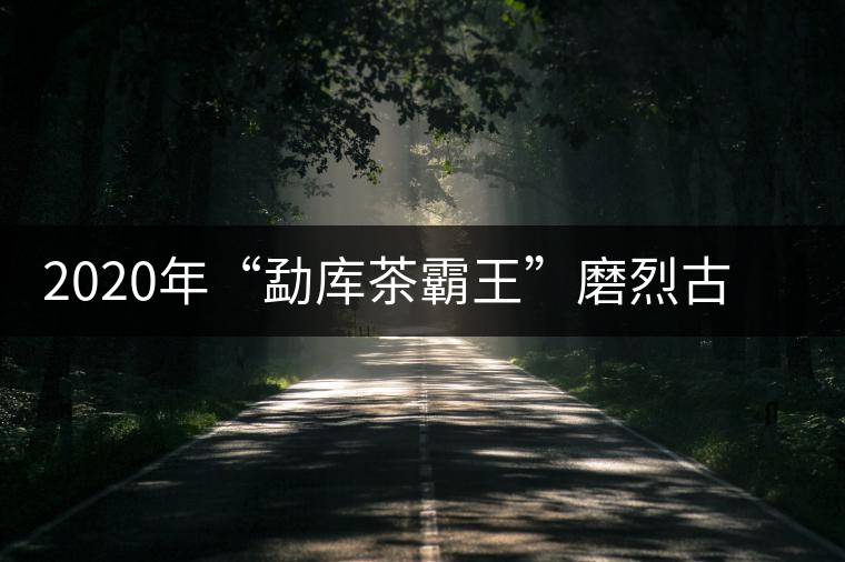 2020年“勐庫茶霸王”磨烈古樹春茶華麗逆襲