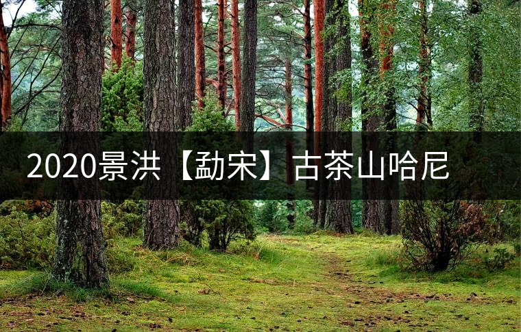 2020景洪【勐宋】古茶山哈尼年“嘎湯帕”圓滿結(jié)束，我們明年見