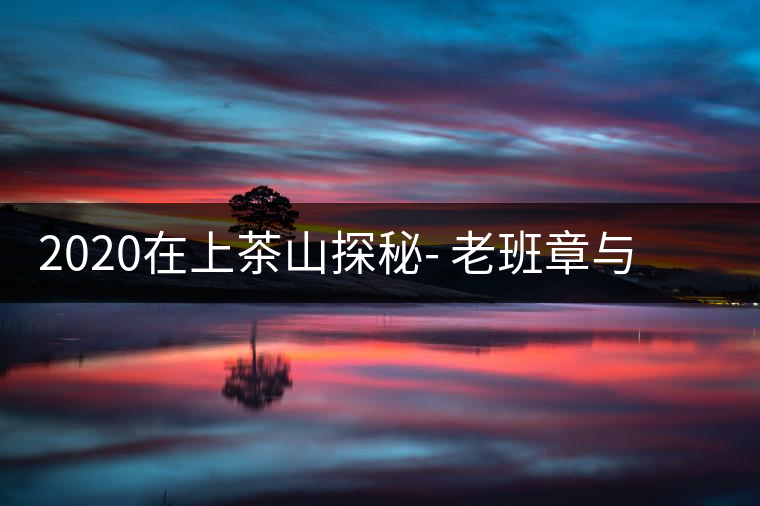 2020在上茶山探秘- 老班章與新班章，一母所生，一念之間，際遇迥異