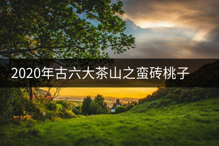 2020年古六大茶山之蠻磚桃子寨古樹茶，瓦龍古樹茶口感與特點