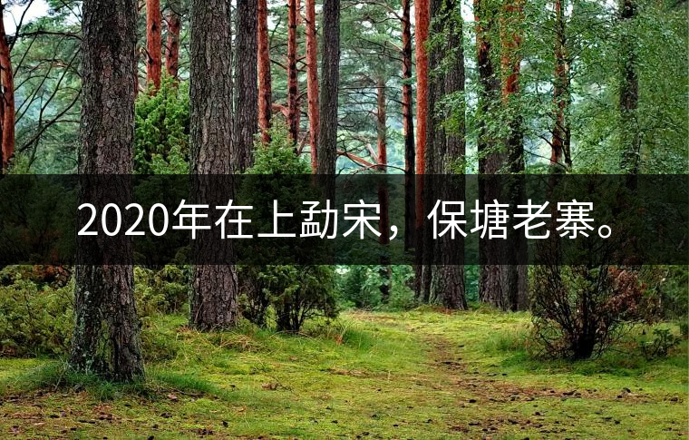 2020年在上勐宋，保塘老寨。