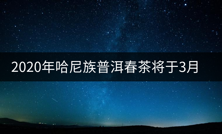 2020年哈尼族普洱春茶將于3月分開(kāi)采