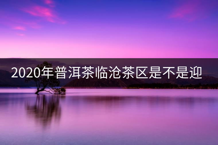 2020年普洱茶臨滄茶區(qū)是不是迎來最好機(jī)遇？