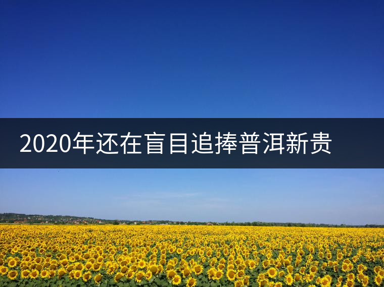 2020年還在盲目追捧普洱新貴“貓耳朵”？我們深入產(chǎn)區(qū)為你揭示最真實(shí)的“貓耳朵”！