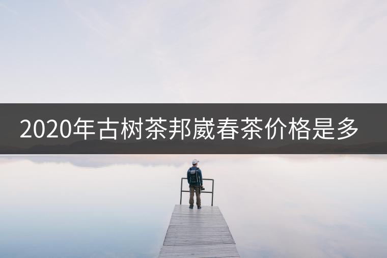 2020年古樹茶邦崴春茶價格是多少？