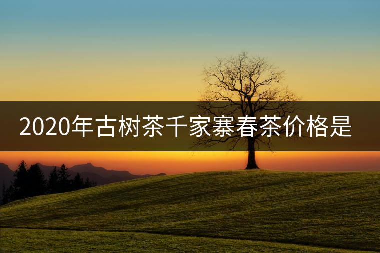 2020年古樹(shù)茶千家寨春茶價(jià)格是多少？