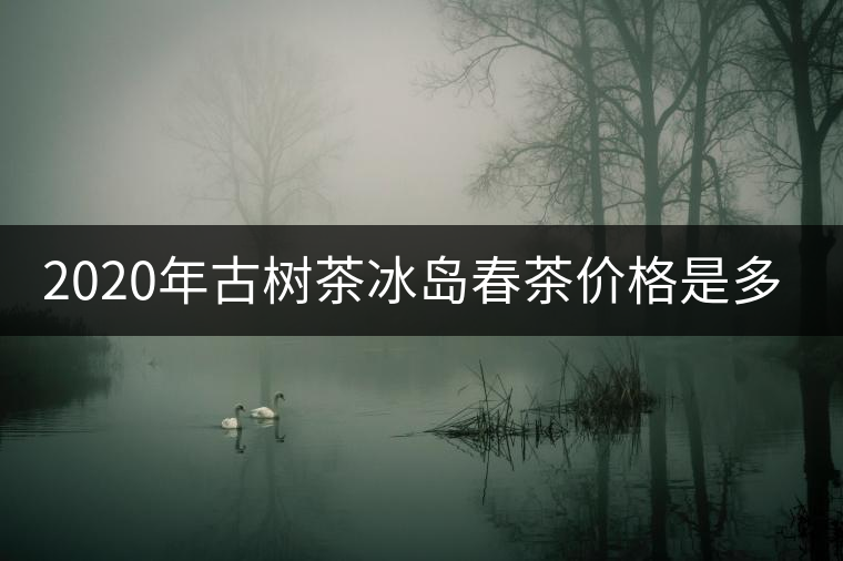 2020年古樹茶冰島春茶價(jià)格是多少？