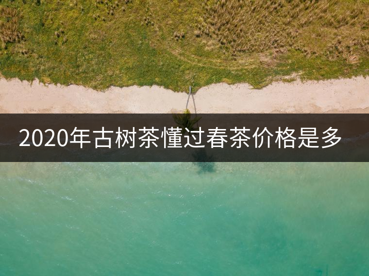 2020年古樹茶懂過春茶價(jià)格是多少？