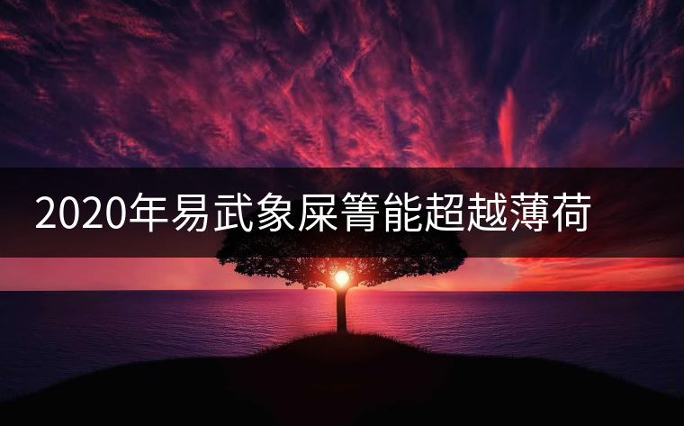 2020年易武象屎箐能超越薄荷塘，比肩哆依樹高桿嗎？