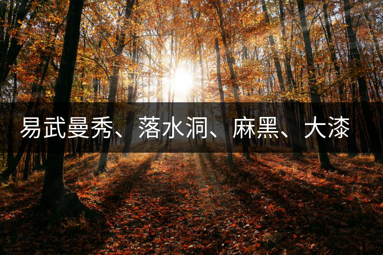 易武曼秀、落水洞、麻黑、大漆樹(shù)等你更喜歡哪個(gè)茶？