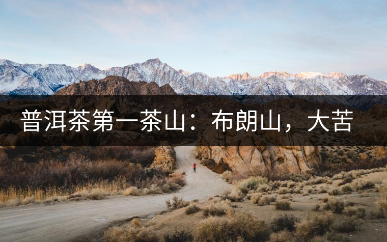 普洱茶第一茶山：布朗山，大苦大甘是它的魂