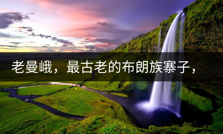 老曼峨，最古老的布朗族寨子，最極端的普洱茶