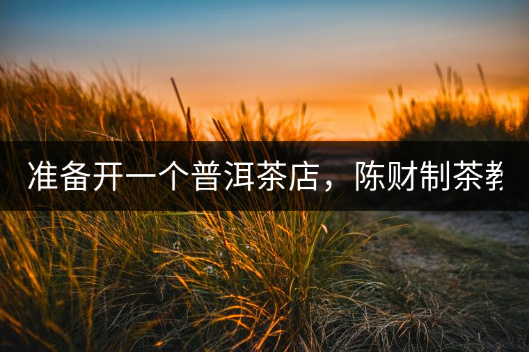 準(zhǔn)備開一個普洱茶店，陳財制茶教你怎么做！