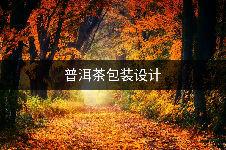 普洱茶包裝設(shè)計