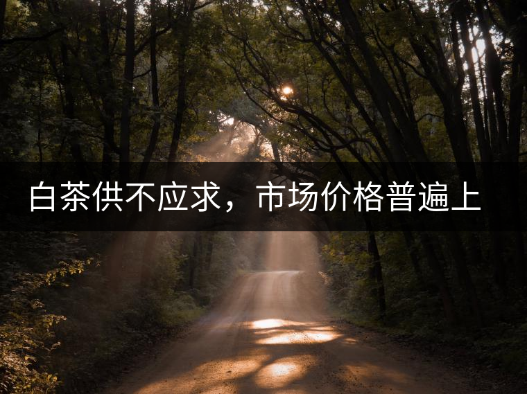 白茶供不應(yīng)求，市場(chǎng)價(jià)格普遍上漲？