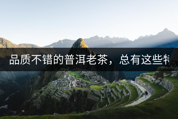 品質(zhì)不錯的普洱老茶，總有這些特點！