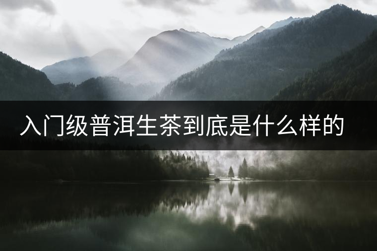 入門級普洱生茶到底是什么樣的口感？