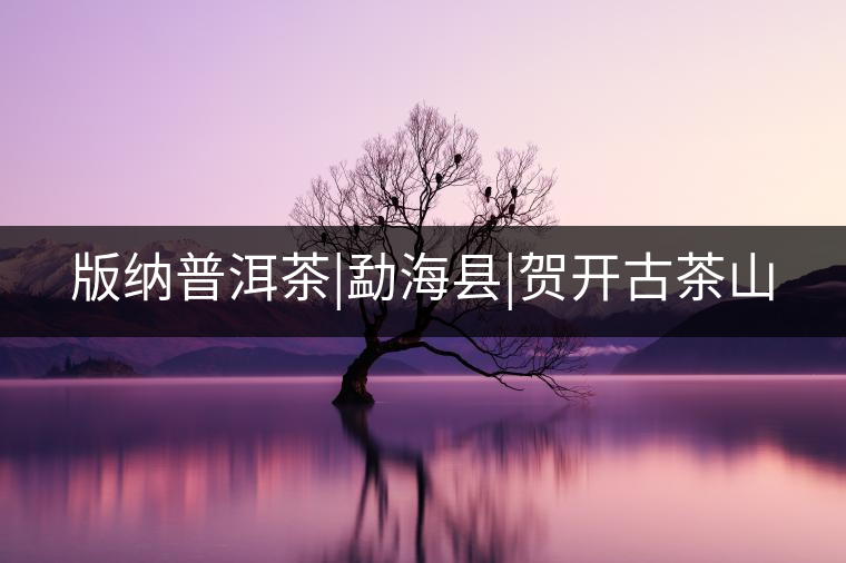 版納普洱茶|勐?？h|賀開(kāi)古茶山