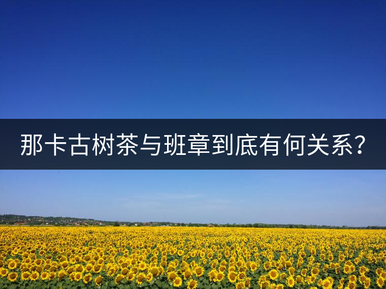 那卡古樹茶與班章到底有何關(guān)系？