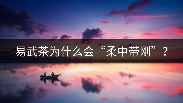 易武茶為什么會“柔中帶剛”？