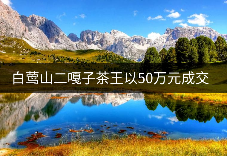 白鶯山二嘎子茶王以50萬元成交價開采